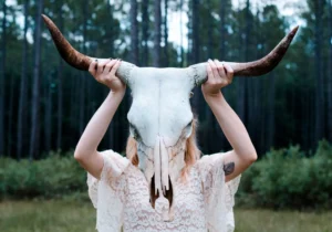 Read more about the article Creatures that charm individuals with their insights