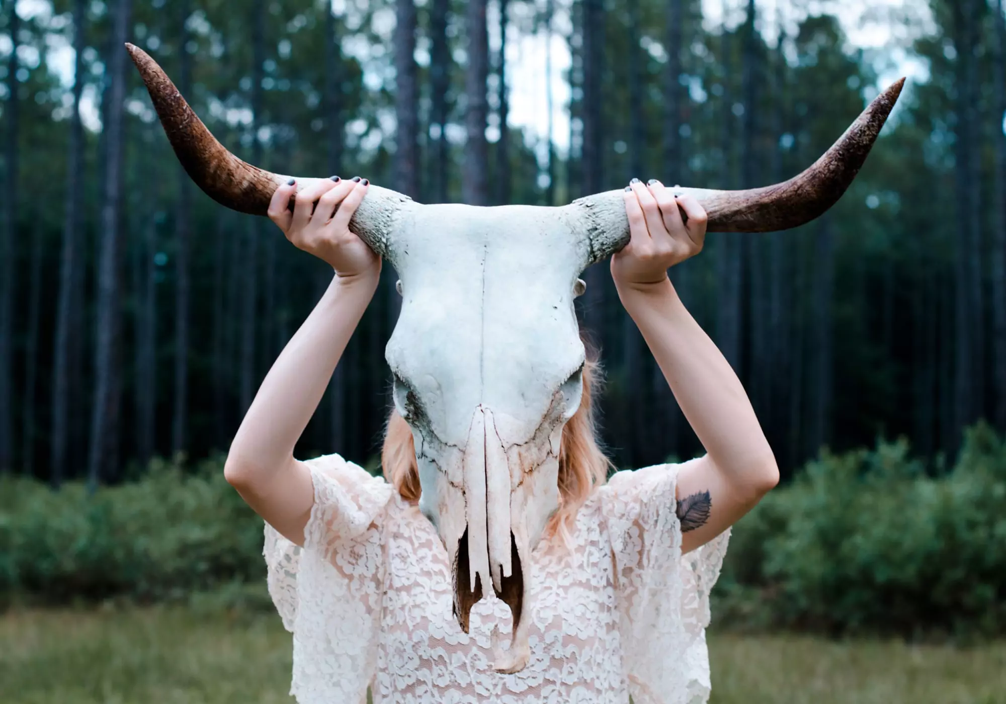 Read more about the article Creatures that charm individuals with their insights